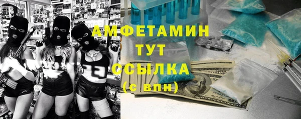 крисы Сясьстрой